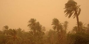 رياح قوية على عديد الولايات الداخلية من الوطن ابتداء من يوم الاحد