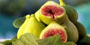 التين للسكري ولمعالجة البثور!