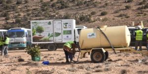 غرس أكثر من 26 مليون شجيرة في مناطق السد الأخضر