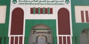 استفادة فلاحين متضررين من تعويضات مالية بورقلة