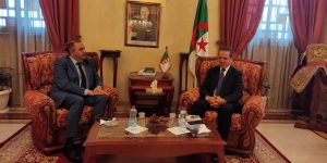  هني: القطاع يسعى لتطوير شعبة تربية النعام في الجزائر.. مناقشة إمكانية تسويق حليب الناقة في الولايات الشمالية