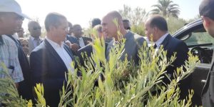 لتطوير قدرات الإنتاج الوطني.. هني يدعو إلى عصرنة طرق استغلال الأراضي الفلاحية