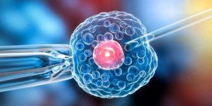 سنريهم آياتنا في الآفاق.. الَّذِي أَحْسَنَ كُلَّ شَيْءٍ خَلَقَهُ