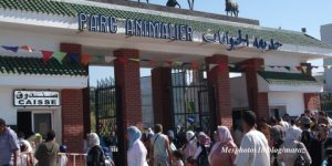 جيجل: إقبال فاق التوقعات لزوار حديقة الحيوانات برج بليدة بالعوانة