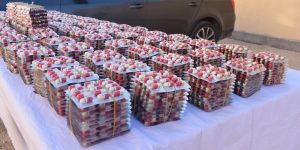 حجز 3200 قرص مهلوس في باتنة