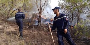 إخماد 54 حريق غابات عبر 9 ولايات