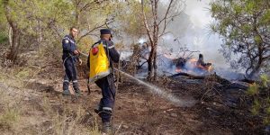 بجاية وحدها شهدت اندلاع 11 بؤرة حريق.. إخماد جميع حرائق الغابات