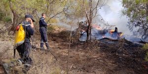 بومرداس: إخماد حوالي 20 بؤرة حريق خلال الـ24 ساعة الأخيرة