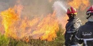 حريقان في ولايتين
