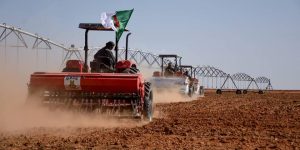 استرجاع العقار الفلاحي.. استعادة نحو 85 ألف هكتار من الأراضي غير المستغلة