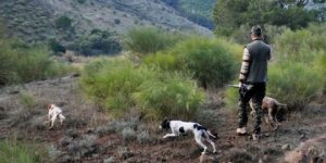 وزارة الفلاحة تعلن عن الافتتاح الرسمي لموسم الصيد البري