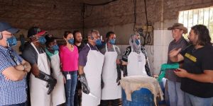 حرفيون يشاركون في دورة تكوينية حول معالجة الجلود بالبرازيل