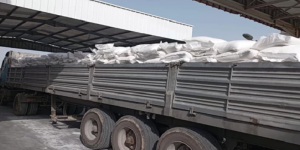 الجزائر تصدّر 18 ألف طن من مادة السكر نحو تونس