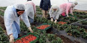 ايمان محرز عضو المجلس الاعلى للشباب، ل” الموعد اليومي”:  المرأة الريفية حققت خطوات إيجابية في عالم المقاولاتية