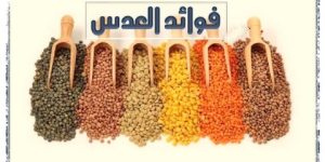 صحتنا في غذائنا.. فوائد العدس الطبية