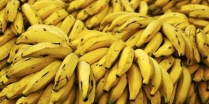 صحتنا في غذائنا.. الموز غذاء الرياضيين