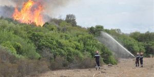 سكيكدة: التحكم في 14 حريقا خلال ال 24 ساعة الأخيرة