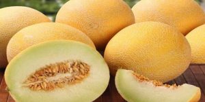 صحتنا في غذائنا.. فوائد البطيخ الأصفر “الكانتالو”