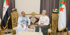 وزير الثقافة الصحراوية يلتقي بوفد من وزارة الثقافة والفنون الجزائرية