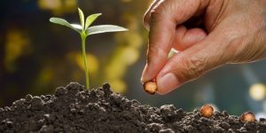 اغتنِم خمسًا قبل خمس