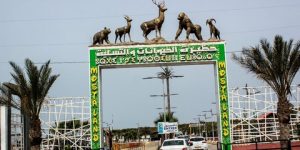 مستغانم.. توافد أزيد من 1,8 مليون زائر على حديقة التسلية والحيوانات “موستالاند”