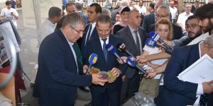 هني يؤكد على ضرورة تعزيز قدرات إنتاج الزيتون وآليات التحويل في منظومة الزراعات الغذائية