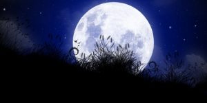 سنريهم آياتنا في الآفاق.. النسيج الكوني