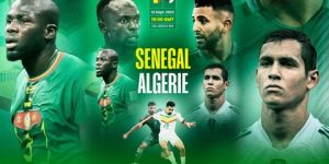 المحاربون يواجهون أسود التيرانغا في اختبار جدي