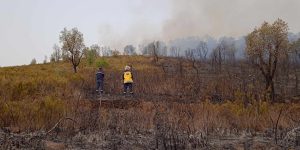 بجاية: السيطرة على عدة حرائق اندلعت مساء الجمعة