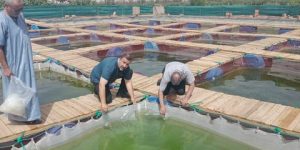 بومرداس :تخصيص 46 عقارا للإستثمار في نشاطات الصيد وتربية المائيات