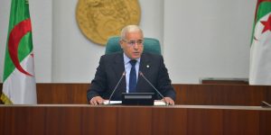 مبادرة الرئيس تبون لحل أزمة النيجر تصبّ في عقيدة الجزائر الثابتة المبنية على الحلول السلمية