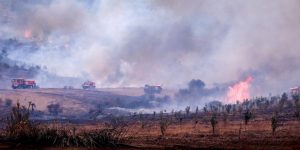 محافظ الغابات بالبليدة: الجهود لا تزال متواصلة لإخماد الحرائق بالجهة الشرقية من الولاية