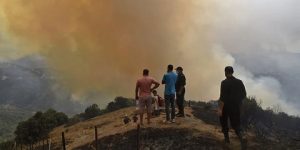 إجراءات جديدة لتأمين الجزائريين من الكوارث الطبيعية.. تسجيل 6 الاف متضرر من حرائق الغابات خلال هذه الصائفة