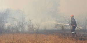 بومرداس: إخماد 35 بؤرة حريق في الـ 24 ساعة الأخيرة