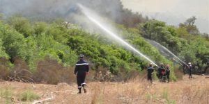 بجاية: إخماد كل الحرائق المندلعة