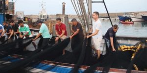 وزارة الصيد تطمِئن بالتكفل بانشغالات المهنيين الخاصة بالتأمين والتقاعد