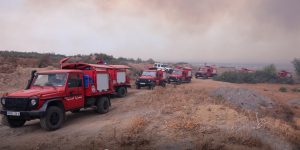 البليدة.. وسائل هامة لإخماد حريقين ببوينان