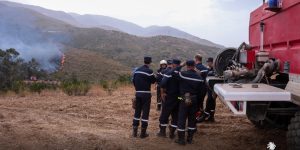 إخماد أغلب حرائق الغابات بعدة ولايات من الوطن