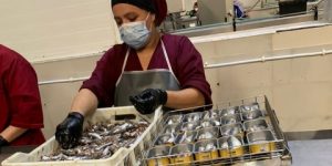 سكيكدة .. فتح باب الاستثمار في صناعات الصيد البحري