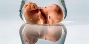 “سكريات حليب الأم” تغذي الطفل قبل ولادته