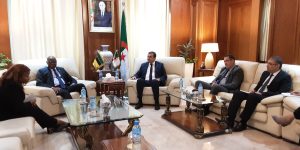 مباحثات جزائرية-موزمبيقية لتعزيز التعاون في مجال الطاقة والمناجم