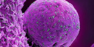 كيف يروِّض جهاز مناعة الأطفال «كوفيد-19»؟