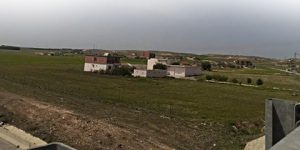 باتنة.. استرجاع أزيد من 2000 هكتار من العقار الفلاحي