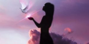 سويداء القلب