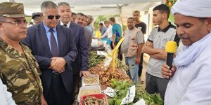 اليوم الوطني للإرشاد الفلاحي: إعطاء الأولوية للشعب الاستراتيجية بورقلة وإن صالح