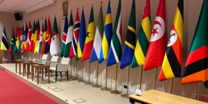 انطلاق أشغال الاجتماع الوزاري “إفريقيا-دول شمال أوروبا”