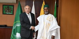 نيجيريا ترحب بوساطة الجزائر لحل الأزمة في النيجر