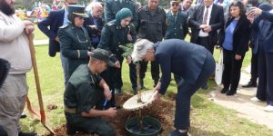 غرس 40 مليون شتلة مرتقب خلال الفترة 2023-2025