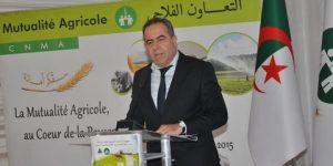 التوجه نحو الزراعة الصحراوية بإقحام الجنوب في الإنتاج الفلاحي كخيار استراتيجي