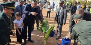 اليوم الوطني للشجرة : تنظيم حملات تشجير واسعة بجنوب البلاد